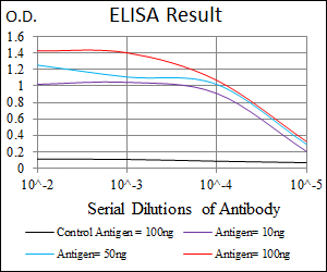 FGF4 Antibody - Red: Control Antigen (100ng); Purple: Antigen (10ng); Green: Antigen (50ng); Blue: Antigen (100ng);