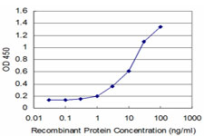 FGF8 Antibody - Detection limit for recombinant GST tagged FGF8 is approximately 0.3 ng/ml as a capture antibody.