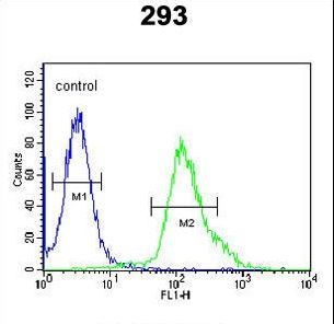 FGFBP3 Antibody - FGFBP3 Antibody flow cytometry of 293 cells (right histogram) compared to a negative control cell (left histogram). FITC-conjugated goat-anti-rabbit secondary antibodies were used for the analysis.