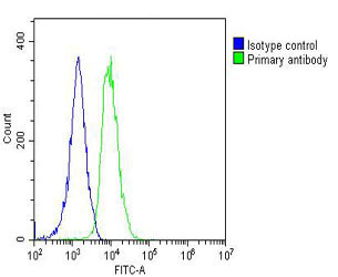 FGFR1OP2 Antibody - Overlay histogram showing U-2OS cells stained with FGFR1OP2 Antibody (green line). The cells were fixed with 2% paraformaldehyde (10 min) and then permeabilized with 90% methanol for 10 min. The cells were then icubated in 2% bovine serum albumin to block non-specific protein-protein interactions followed by the antibody (FGFR1OP2 Antibody, 1:25 dilution) for 60 min at 37°C. The secondary antibody used was Goat-Anti-Mouse IgG, DyLight® 488 Conjugated Highly Cross-Adsorbed (OJ192088) at 1/200 dilution for 40 min at 37°C. Isotype control antibody (blue line) was mouse IgG2a (1µg/1x10^6 cells) used under the same conditions. Acquisition of >10, 000 events was performed.