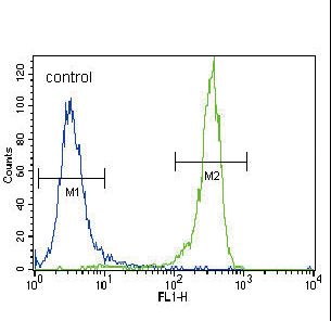 FGFR2 / FGF Receptor 2 Antibody - FGFR2 Antibody (N-term R22) flow cytometry of NCI-H460 cells (right histogram) compared to a negative control cell (left histogram). FITC-conjugated goat-anti-rabbit secondary antibodies were used for the analysis.