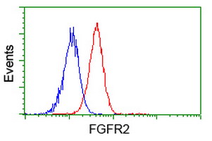 FGFR2 / FGF Receptor 2 Antibody - Flow cytometry of Jurkat cells, using anti-FGFR2 antibody (Red), compared to a nonspecific negative control antibody (Blue).