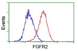 FGFR2 / FGF Receptor 2 Antibody - Flow cytometry of HeLa cells, using anti-FGFR2 antibody (Red), compared to a nonspecific negative control antibody (Blue).
