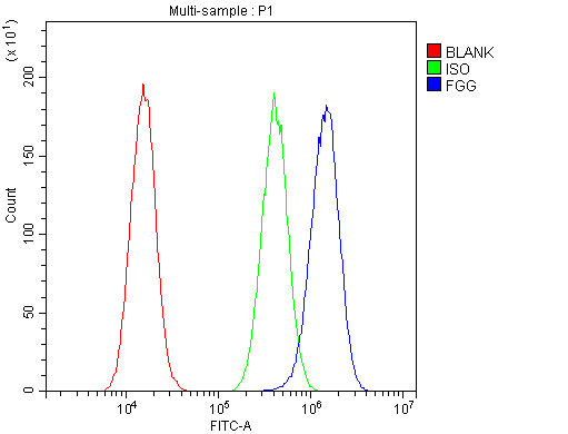 FGG / Fibrinogen Gamma Antibody - Flow Cytometry analysis of A549 cells using anti-FGG antibody. Overlay histogram showing A549 cells stained with anti-FGG antibody (Blue line). The cells were blocked with 10% normal goat serum. And then incubated with rabbit anti-FGG Antibody (1µg/10E6 cells) for 30 min at 20°C. DyLight®488 conjugated goat anti-rabbit IgG (5-10µg/10E6 cells) was used as secondary antibody for 30 minutes at 20°C. Isotype control antibody (Green line) was rabbit IgG (1µg/10E6 cells) used under the same conditions. Unlabelled sample (Red line) was also used as a control.
