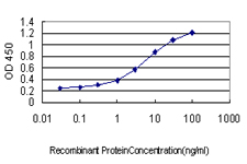 FGL2 Antibody - Detection limit for recombinant GST tagged FGL2 is approximately 0.1 ng/ml as a capture antibody.