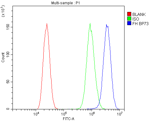 FH / Fumarase / MCL Antibody - Flow Cytometry analysis of A431 cells using anti-FH antibody. Overlay histogram showing A431 cells stained with anti-FH antibody (Blue line). The cells were blocked with 10% normal goat serum. And then incubated with rabbit anti-FH Antibody (1µg/10E6 cells) for 30 min at 20°C. DyLight®488 conjugated goat anti-rabbit IgG (5-10µg/10E6 cells) was used as secondary antibody for 30 minutes at 20°C. Isotype control antibody (Green line) was rabbit IgG (1µg/10E6 cells) used under the same conditions. Unlabelled sample (Red line) was also used as a control.