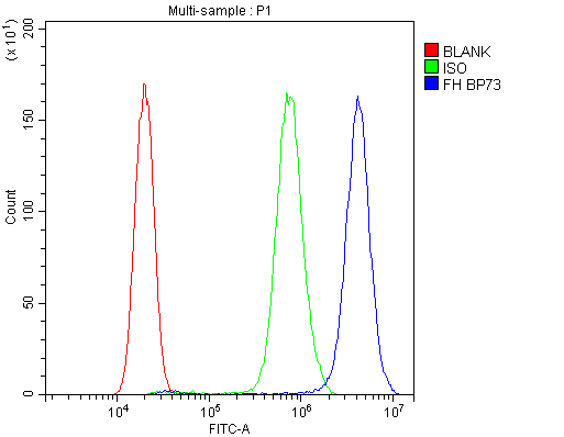 FH / Fumarase / MCL Antibody - Flow Cytometry analysis of PC-3 cells using anti-FH antibody. Overlay histogram showing PC-3 cells stained with anti-FH antibody (Blue line). The cells were blocked with 10% normal goat serum. And then incubated with rabbit anti-FH Antibody (1µg/10E6 cells) for 30 min at 20°C. DyLight®488 conjugated goat anti-rabbit IgG (5-10µg/10E6 cells) was used as secondary antibody for 30 minutes at 20°C. Isotype control antibody (Green line) was rabbit IgG (1µg/10E6 cells) used under the same conditions. Unlabelled sample (Red line) was also used as a control.