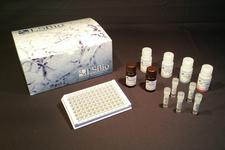 T4 / Thyroxine ELISA Kit