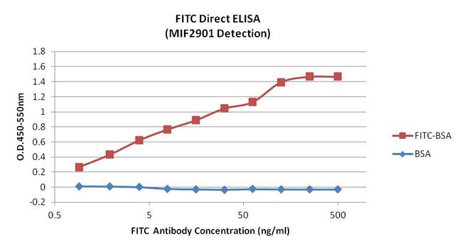 FITC Antibody - Fluorescein Isothiocyanate ELISA