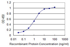 FKBP10 / FKBP65 Antibody - Detection limit for recombinant GST tagged FKBP10 is 0.03 ng/ml as a capture antibody.