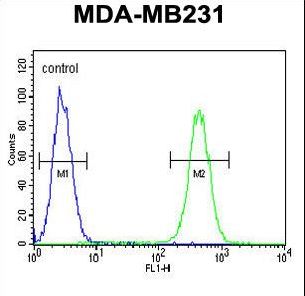 FKBP1A / FKBP12 Antibody - FKBP1A Antibody flow cytometry of MDA-MB231 cells (right histogram) compared to a negative control cell (left histogram). FITC-conjugated goat-anti-rabbit secondary antibodies were used for the analysis.