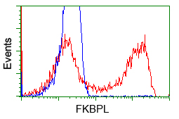 FKBPL Antibody - HEK293T cells transfected with either overexpress plasmid (Red) or empty vector control plasmid (Blue) were immunostained by anti-FKBPL antibody, and then analyzed by flow cytometry.