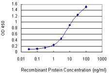 FLI1 Antibody - Detection limit for recombinant GST tagged FLI1 is 0.1 ng/ml as a capture antibody.
