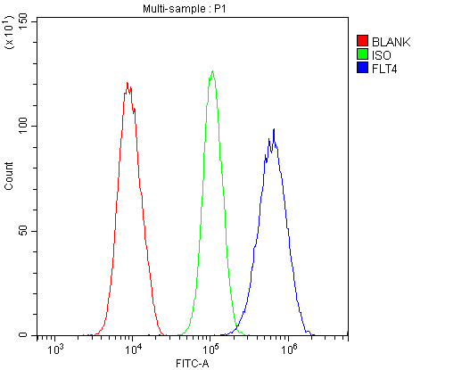 FLT4 / VEGFR3 Antibody - Flow Cytometry analysis of U20S cells using anti-VEGF Receptor 3 antibody. Overlay histogram showing U20S cells stained with anti-VEGF Receptor 3 antibody (Blue line). The cells were blocked with 10% normal goat serum. And then incubated with rabbit anti-VEGF Receptor 3 Antibody (1µg/10E6 cells) for 30 min at 20°C. DyLight®488 conjugated goat anti-rabbit IgG (5-10µg/10E6 cells) was used as secondary antibody for 30 minutes at 20°C. Isotype control antibody (Green line) was rabbit IgG (1µg/10E6 cells) used under the same conditions. Unlabelled sample (Red line) was also used as a control.