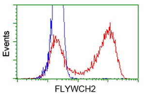 FLYWCH2 Antibody - HEK293T cells transfected with either overexpress plasmid (Red) or empty vector control plasmid (Blue) were immunostained by anti-FLYWCH2 antibody, and then analyzed by flow cytometry.