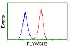 FLYWCH2 Antibody - Flow cytometry of HeLa cells, using anti-FLYWCH2 antibody (Red), compared to a nonspecific negative control antibody (Blue).