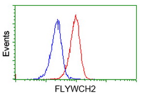 FLYWCH2 Antibody - Flow cytometry of Jurkat cells, using anti-FLYWCH2 antibody (Red), compared to a nonspecific negative control antibody (Blue).