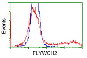 FLYWCH2 Antibody - HEK293T cells transfected with either overexpress plasmid (Red) or empty vector control plasmid (Blue) were immunostained by anti-FLYWCH2 antibody, and then analyzed by flow cytometry.