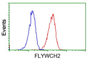 FLYWCH2 Antibody - Flow cytometry of Jurkat cells, using anti-FLYWCH2 antibody (Red), compared to a nonspecific negative control antibody (Blue).