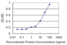 FMNL1 Antibody - Detection limit for recombinant GST tagged FMNL1 is 0.3 ng/ml as a capture antibody.