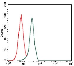 FN1 / Fibronectin Antibody - Flow Cytometry: Fibronectin Antibody (2F4) - Flow cytometric analysis of HeLa cells using Fibronectin mouse mAb (green) and negative control (red).