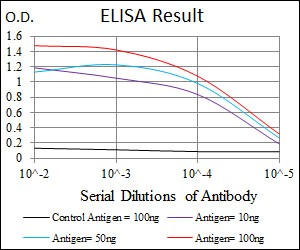 FN1 / Fibronectin Antibody - ELISA: Fibronectin Antibody (2F4) - Red: Control Antigen (100ng); Purple: Antigen (10ng); Green: Antigen (50ng); Blue: Antigen (100ng).