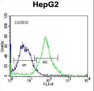 FNDC7 Antibody - FNDC7 Antibody flow cytometry of K562 cells (right histogram) compared to a negative control cell (left histogram). FITC-conjugated donkey-anti-rabbit secondary antibodies were used for the analysis.