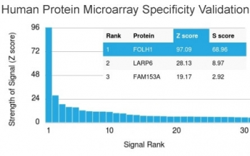 FOLH1 / PSMA Antibody - Analysis of HuProt(TM) microarray containing more than 19,000 full-length human proteins using FOLH1 antibody. These results demonstrate the foremost specificity of the FOLH1/2363 mAb. Z- and S- score: The Z-score represents the strength of a signal that an antibody (in combination with a fluorescently-tagged anti-IgG secondary Ab) produces when binding to a particular protein on the HuProt(TM) array. Z-scores are described in units of standard deviations (SD's) above the mean value of all signals generated on that array. If the targets on the HuProt(TM) are arranged in descending order of the Z-score, the S-score is the difference (also in units of SD's) between the Z-scores. The S-score therefore represents the relative target specificity of an Ab to its intended target.