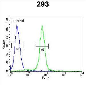 FOS / c-FOS Antibody - c-fos Antibody flow cytometry of 293 cells (right histogram) compared to a negative control cell (left histogram). FITC-conjugated goat-anti-rabbit secondary antibodies were used for the analysis.