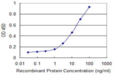 FOS / c-FOS Antibody - Detection limit for recombinant GST tagged FOS is 0.3 ng/ml as a capture antibody.
