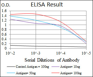 FOS / c-FOS Antibody - Red: Control Antigen (100ng); Purple: Antigen (10ng); Green: Antigen (50ng); Blue: Antigen (100ng);
