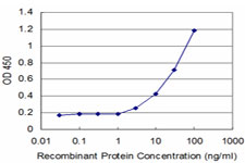 FOSL2 / FRA-2 Antibody - Detection limit for recombinant GST tagged FOSL2 is approximately 3 ng/ml as a capture antibody.