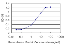 FOXA2 Antibody - Detection limit for recombinant GST tagged FOXA2 is approximately 0.3 ng/ml as a capture antibody.