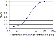 FOXA3 Antibody - Detection limit for recombinant GST tagged FOXA3 is 0.03 ng/ml as a capture antibody.
