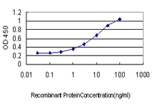 FOXC2 Antibody - Detection limit for recombinant GST tagged FOXC2 is approximately 0.3 ng/ml as a capture antibody.