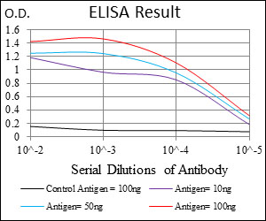 FOXO1 / FKHR Antibody - Red: Control Antigen (100ng); Purple: Antigen (10ng); Green: Antigen (50ng); Blue: Antigen (100ng);