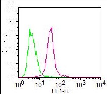 FOXO1 / FKHR Antibody - Fig-1: Intracellular FLOW analysis of THP1 cells using 0.5 ug of FITC conjugated Anti-FOXO1 antibody. Green represents Mouse IgG2b FITC isotype control. Red represents FITC conjugated Anti-FOXO1 antibody.
