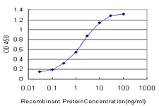 FOXO3 / FOXO3A Antibody - Detection limit for recombinant GST tagged FOXO3A is approximately 0.03 ng/ml as a capture antibody.
