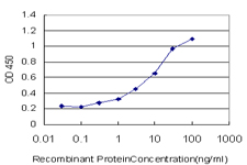 FOXO3 / FOXO3A Antibody - Detection limit for recombinant GST tagged FOXO3A is approximately 0.3 ng/ml as a capture antibody.