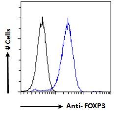 FOXP3 Antibody - Goat Anti-FOXP3 / Scurfin (Mouse) Antibody Flow cytometric analysis of paraformaldehyde fixed NIH3T3 cells (blue line), permeabilized with 0.5% Triton. Primary incubation 1hr (10ug/ml) followed by Alexa Fluor 488 secondary antibody (1ug/ml). IgG control: Unimmunized goat IgG (black line) followed by Alexa Fluor 488 secondary antibody.