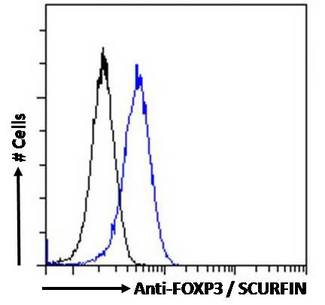 FOXP3 Antibody - FOXP3 / SCURFIN antibody flow cytometric analysis of paraformaldehyde fixed Jurkat cells (blue line), permeabilized with 0.5% Triton. Primary incubation 1hr (10ug/ml) followed by Alexa Fluor 488 secondary antibody (4ug/ml). IgG control: Unimmunized goat IgG (black line) followed by Alexa Fluor 488 secondary antibody.