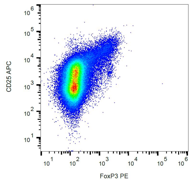 FOXP3 Antibody - Intracellular staining of human peripheral blood cells (gated on CD4+ cells) with anti-FoxP3 (clone 3G3) PE.