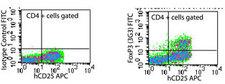 FOXP3 Antibody - Flow cytometry of FOXP3 in human PBMCs stimulated with anti-hCD3 and rhIL-2 for 48 hours using isotype control (left) and antibody (right) at 0.5 ug/10^6 cells. This image was taken for the unconjugated form of this product. Other forms have not been tested.