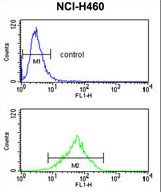 FPR3 / FPRL2 Antibody - FPRL2 Antibody flow cytometry of NCI-H460 cells (bottom histogram) compared to a negative control cell (top histogram). FITC-conjugated goat-anti-rabbit secondary antibodies were used for the analysis.