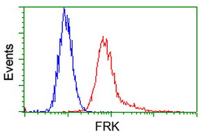 FRK Antibody - Flow cytometry of HeLa cells, using anti-FRK antibody, (Red) compared to a nonspecific negative control antibody (Blue).