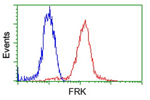 FRK Antibody - Flow cytometry of Jurkat cells, using anti-FRK antibody, (Red) compared to a nonspecific negative control antibody (Blue).