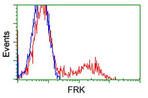 FRK Antibody - HEK293T cells transfected with either pCMV6-ENTRY FRK (Red) or empty vector control plasmid (Blue) were immunostained with anti-FRK mouse monoclonal(Dilution 1:1,000), and then analyzed by flow cytometry.