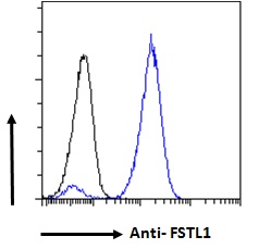 FSTL1 Antibody - Goat Anti-FSTL1 Antibody Flow cytometric analysis of paraformaldehyde fixed A549 cells (blue line), permeabilized with 0.5% Triton. Primary incubation 1hr (10ug/ml) followed by Alexa Fluor 488 secondary antibody (1ug/ml). IgG control: Unimmunized goat IgG (black line) followed by Alexa Fluor 488 secondary antibody.