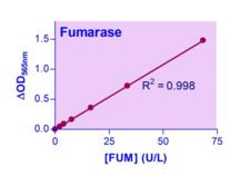 FH / Fumarase / MCL Assay Kit