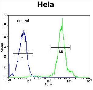 FUS / TLS Antibody - FUS Antibody flow cytometry of HeLa cells (right histogram) compared to a negative control cell (left histogram). FITC-conjugated goat-anti-rabbit secondary antibodies were used for the analysis.